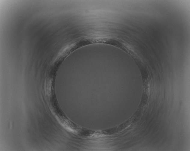 X0000081360742200701182112