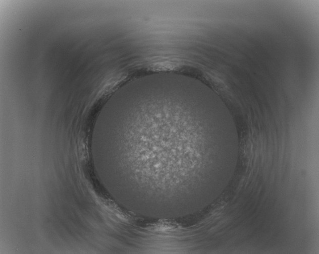 X0000081360743200701182112