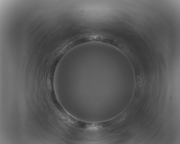 X0000081360754200701182112