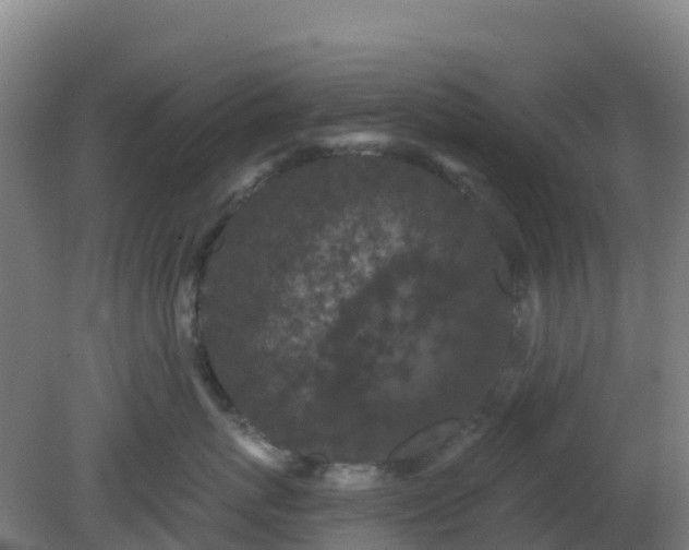 X0000081360767200701182113