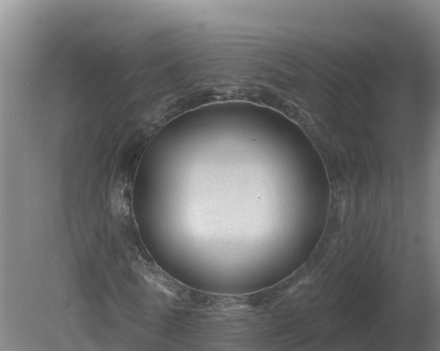 X0000081360770200701182112