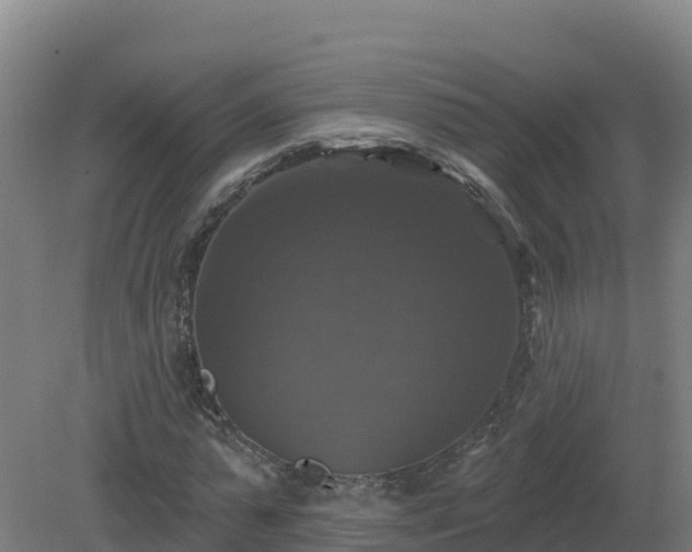 X0000081360775200701182112