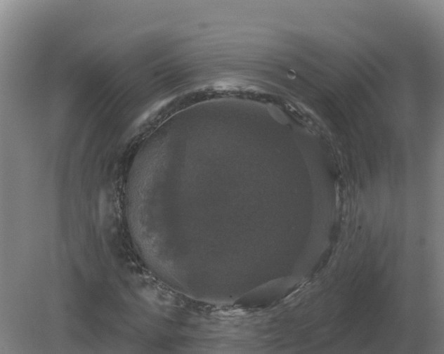 X0000081360776200701182112