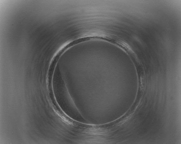 X0000081360780200701182112