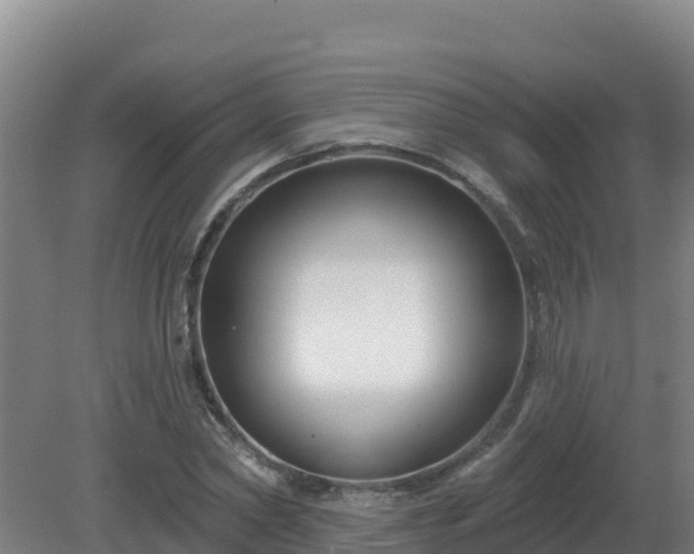 X0000081360782200701182112