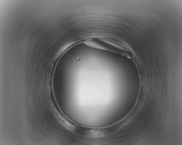 X0000081360794200701182111