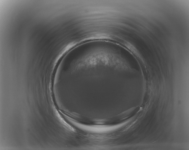 X0000081360797200701182111