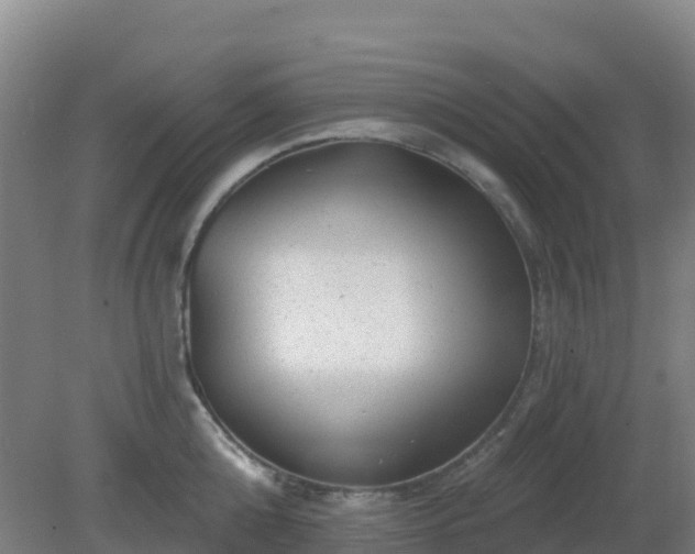 X0000081360808200701182111
