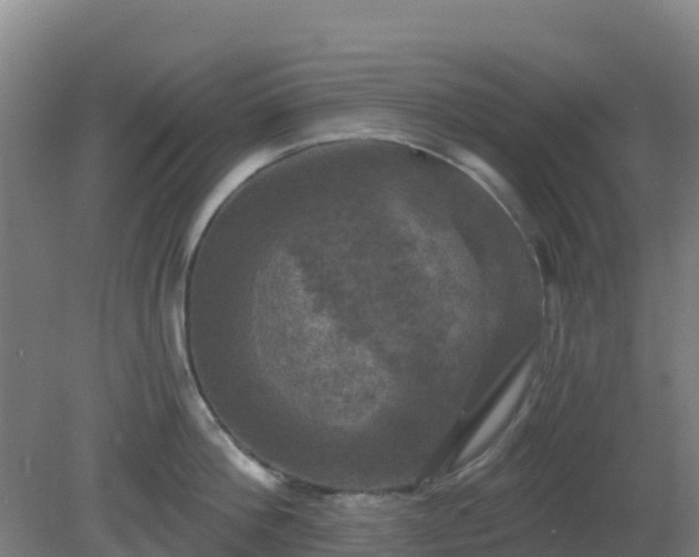X0000081360812200701182111