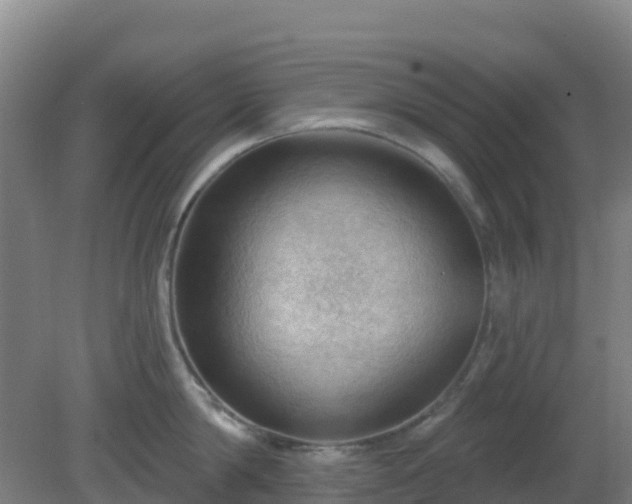 X0000081360814200701182111