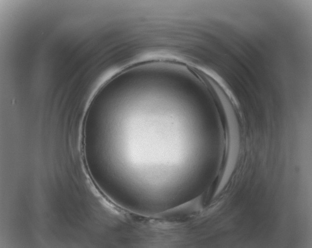 X0000081360815200701182111