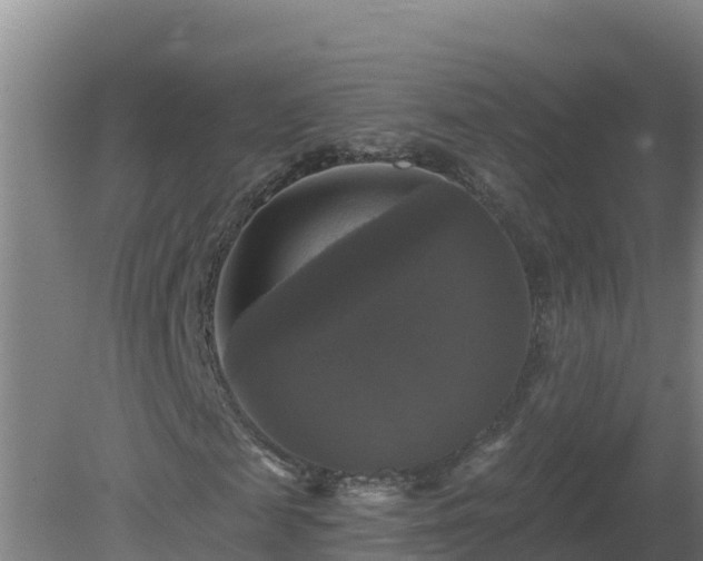 X0000081360817200701182110