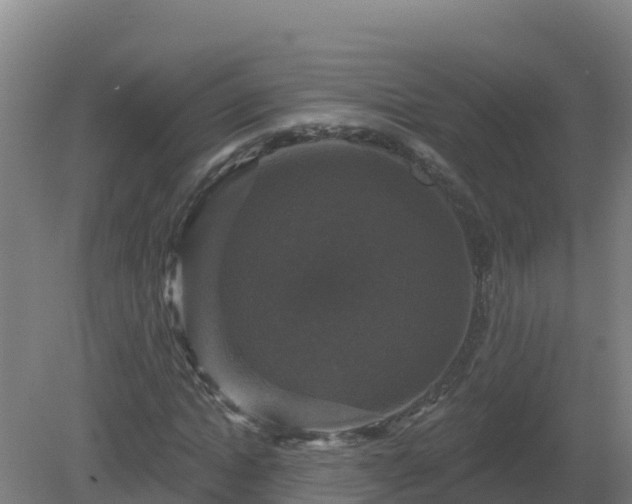 X0000081360822200701182110