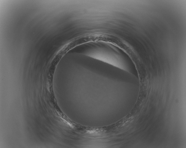 X0000081360823200701182110