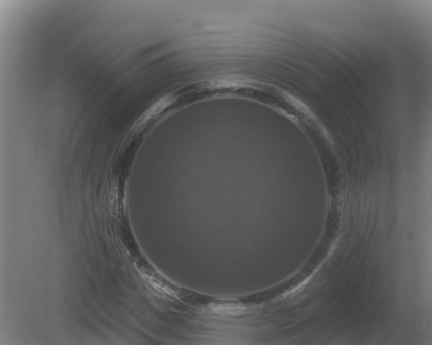 X0000081360825200701182110