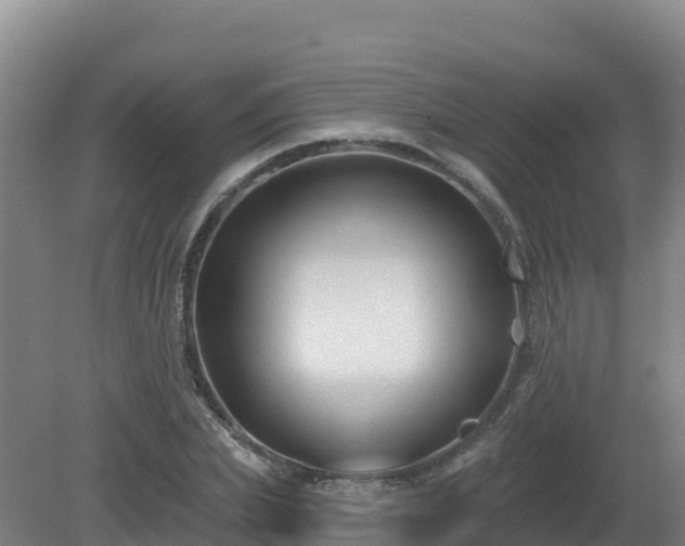 X0000081360831200701182110