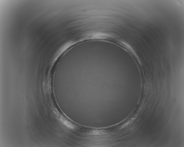 X0000081360835200701182110