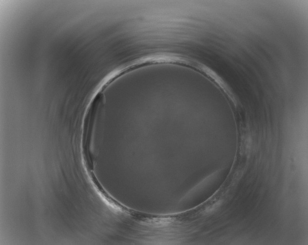 X0000081360853200701182111