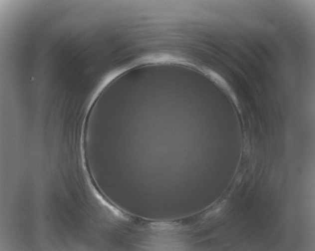 X0000081360863200701182111