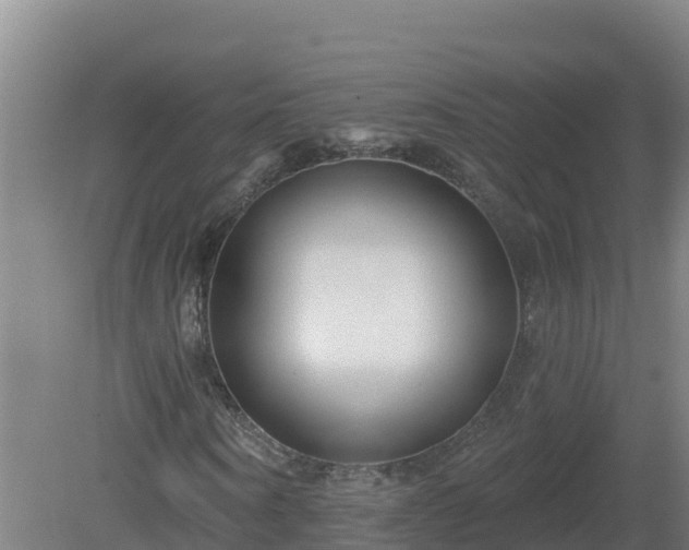 X0000081360866200701182110