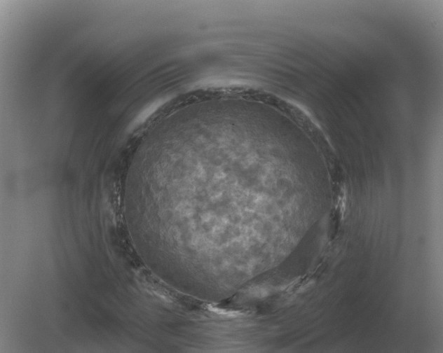 X0000081360871200701182110
