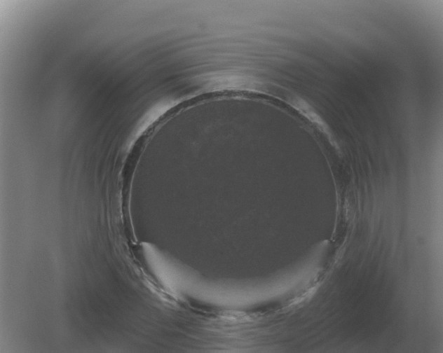 X0000081360877200701182110