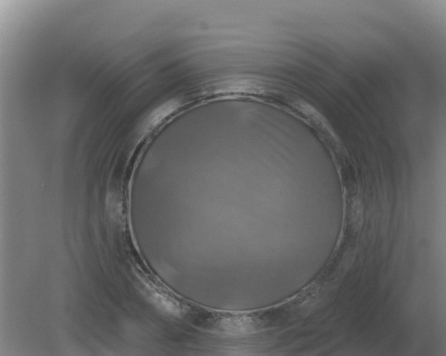 X0000081360882200701182110