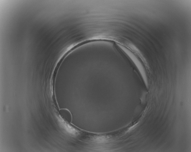 X0000081360892200701182110