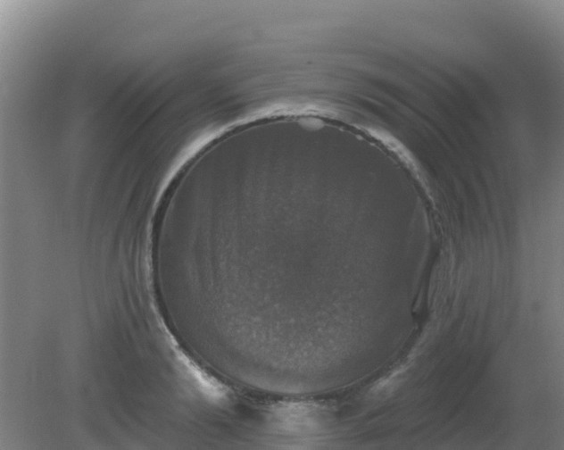 X0000081360894200701182110