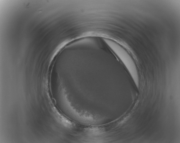 X0000081360896200701182110
