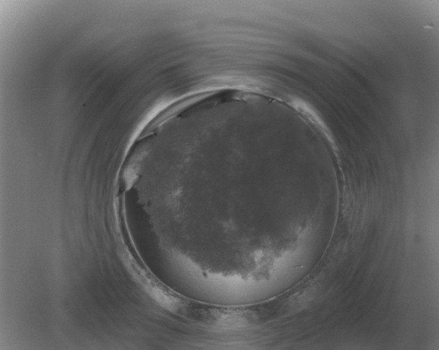 X0000081360899200701182110