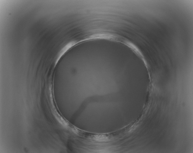 X0000081360907200701182109