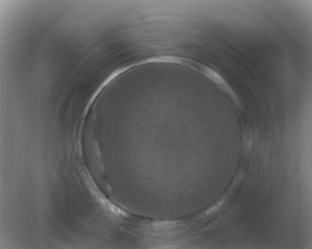 X0000081360908200701182109