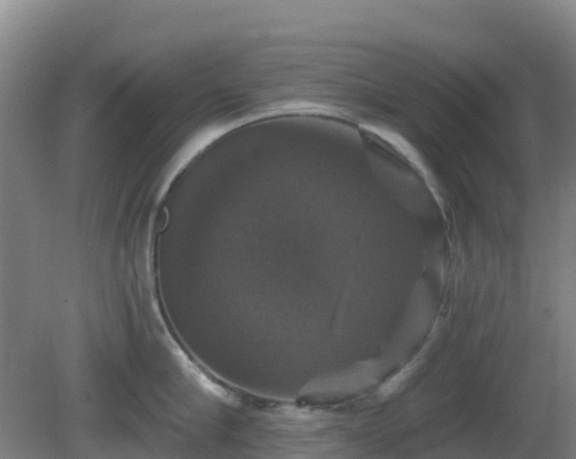 X0000081360910200701182109