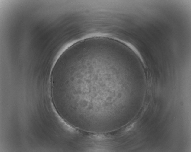 X0000081360911200701182109
