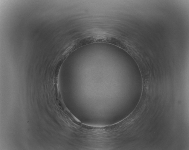 X0000081360916200701182109