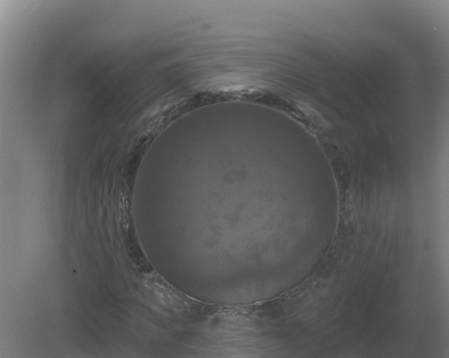 X0000081360917200701182109