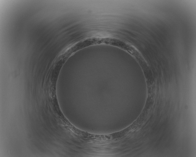 X0000081360919200701182109