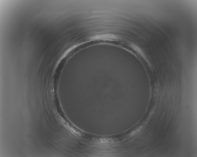 X0000081360923200701182109