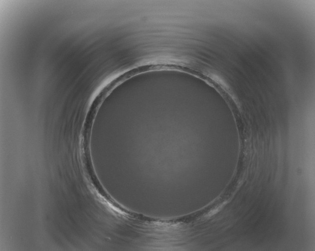 X0000081360928200701182109