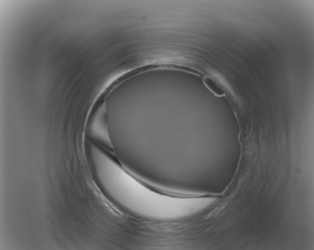 X0000081360932200701182109