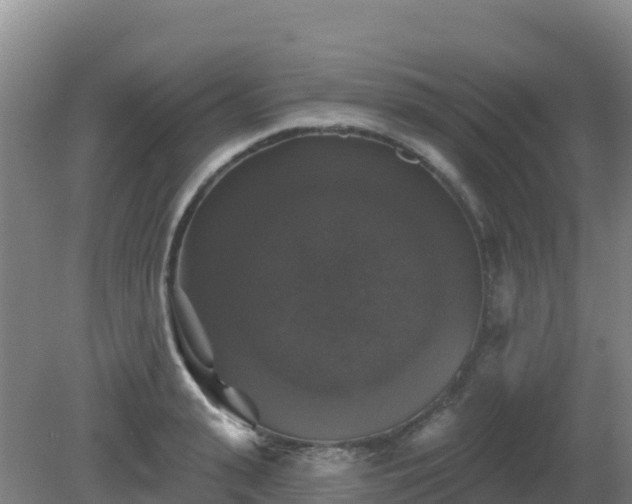 X0000081360943200701182109