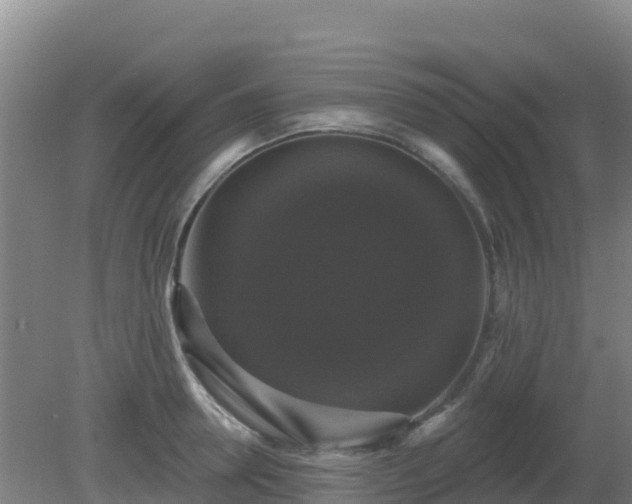 X0000081360946200701182109