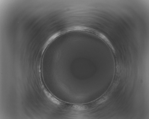 X0000081360954200701182109