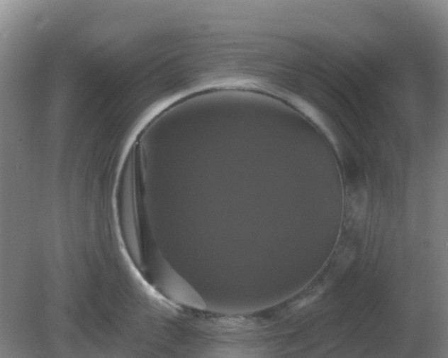 X0000081360959200701182109