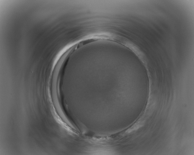 X0000081360960200701182109