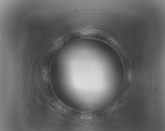 X0000081360964200701182108