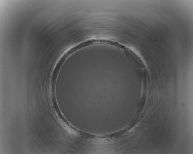 X0000081360976200701182108