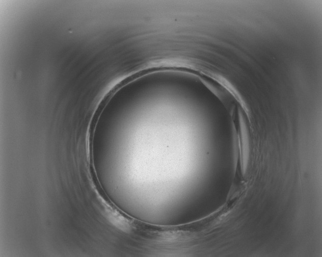 X0000081360988200701182108