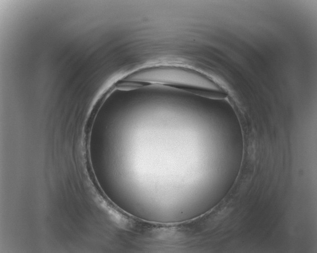 X0000081360990200701182108